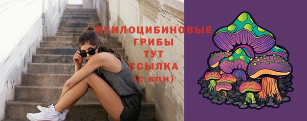 не бодяженный Беломорск