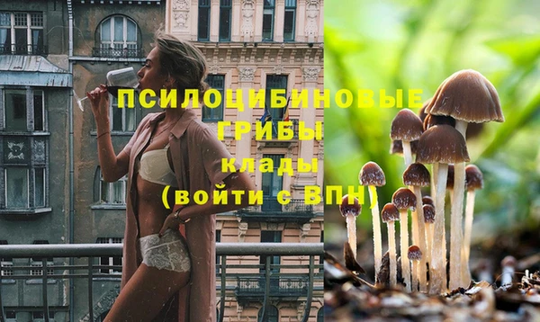 не бодяженный Беломорск