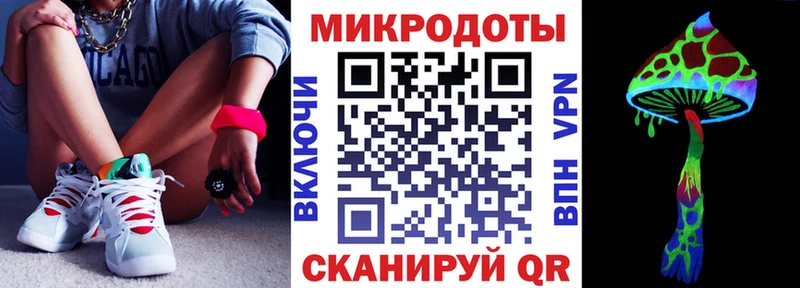сколько стоит  Кубинка  Псилоцибиновые грибы Psilocybe 