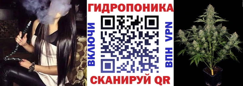 Конопля сатива  Кубинка 